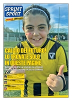 Piemonte Scuola Calcio