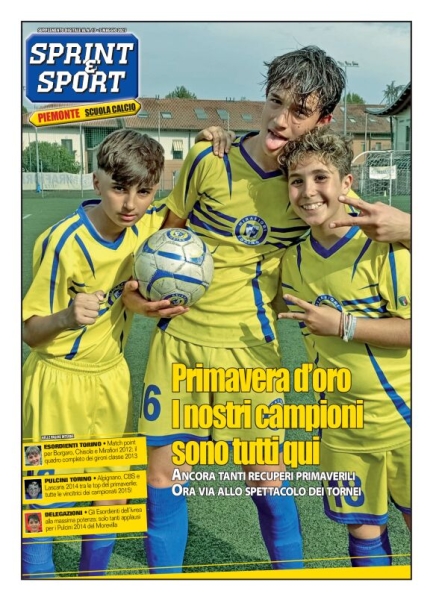 Piemonte Scuola Calcio